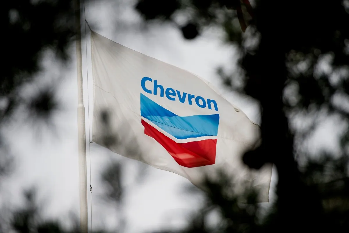 chevron-licencia