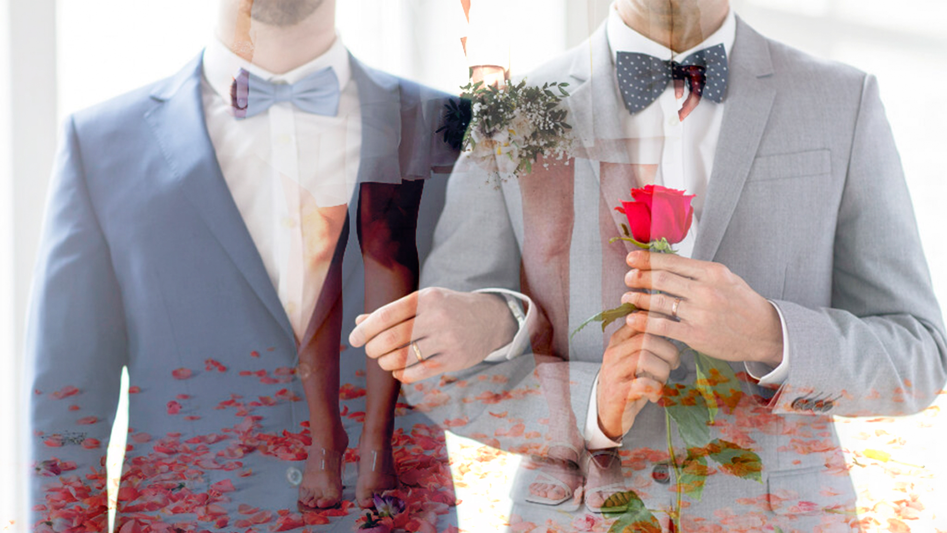 matrimonio Igualitario