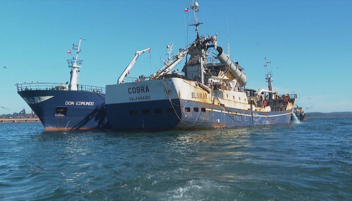 buque-cobra-chile