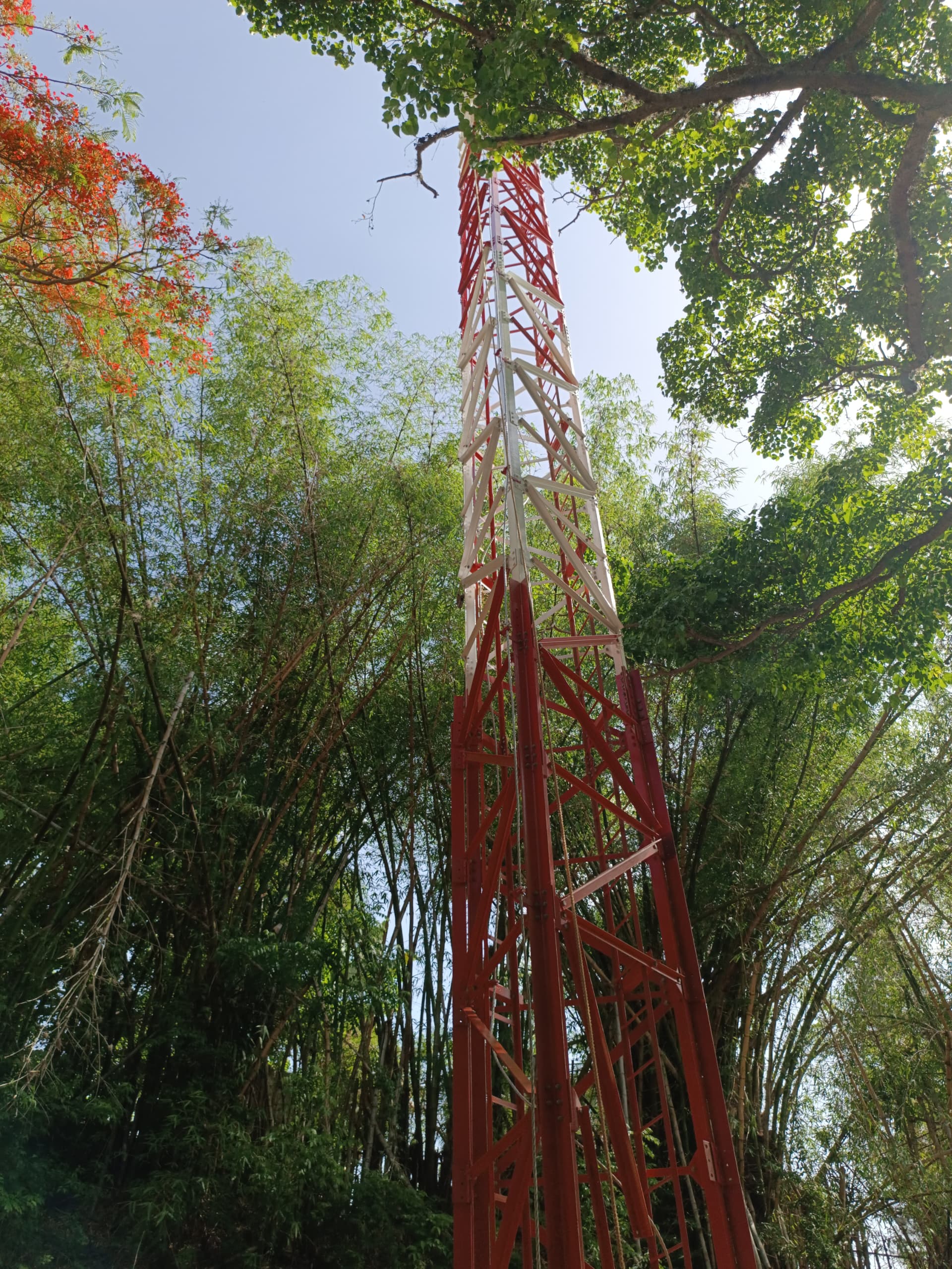 eb0556b3-da1a-41a5-8783-ec8f60e277d7