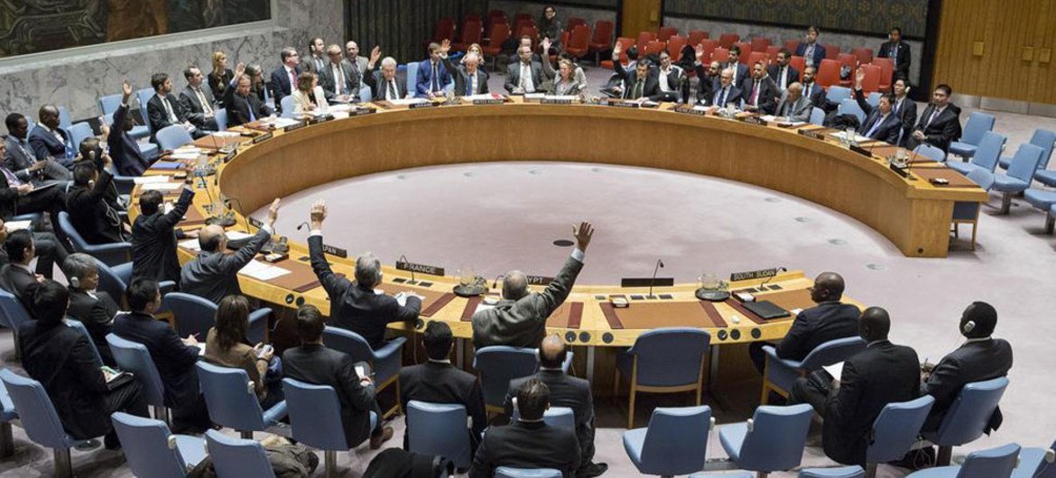 Consejo de Seguridad