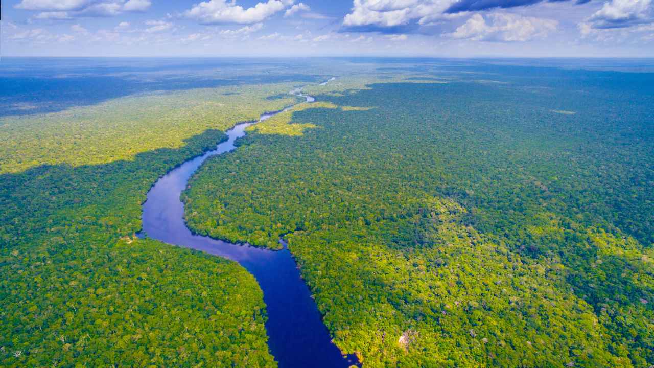 Cumbre-de-Paises-Amazonicos-2025