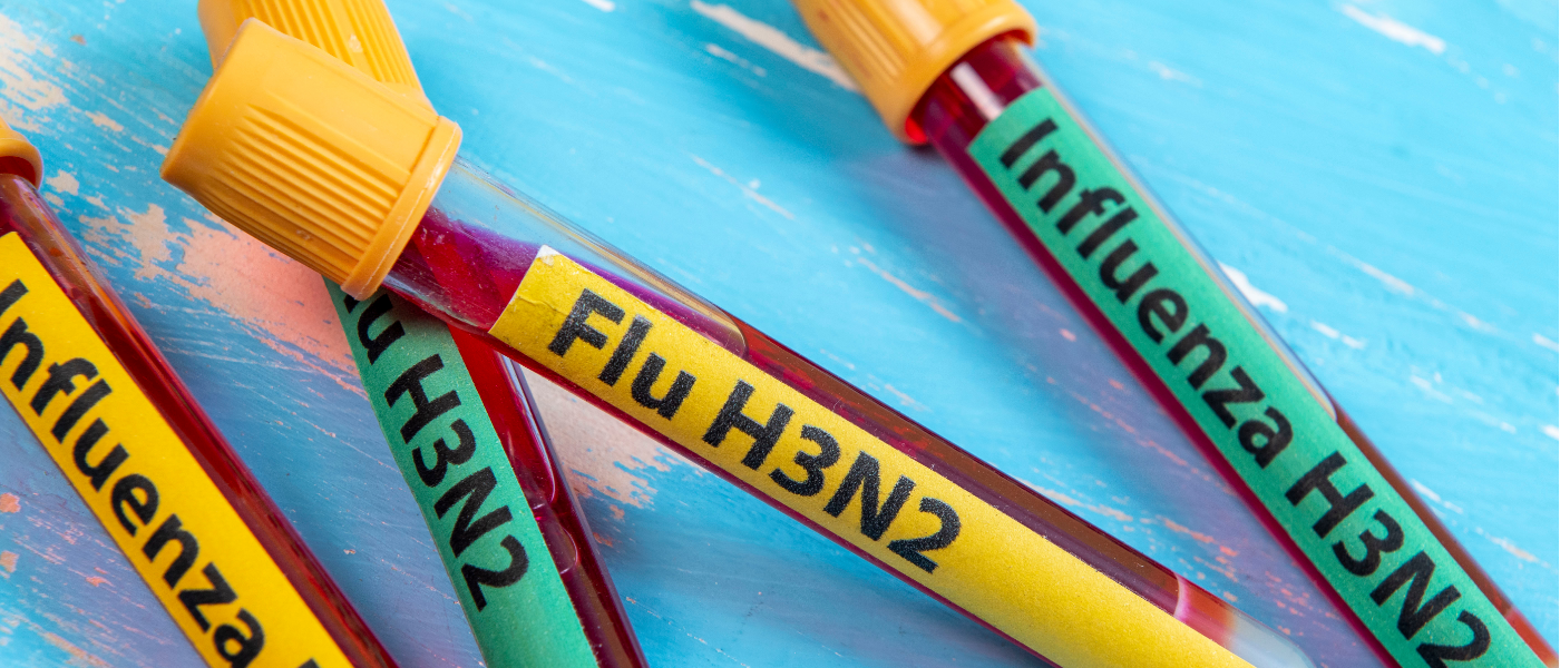 VIRUS-GRIPE-H3N2-SUBCLADO-K-AUTOCUIDADO