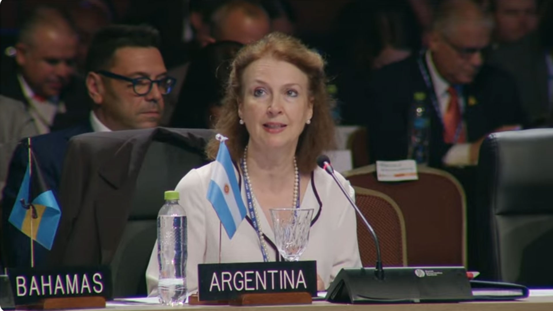 Representante de Argentina en la OEA