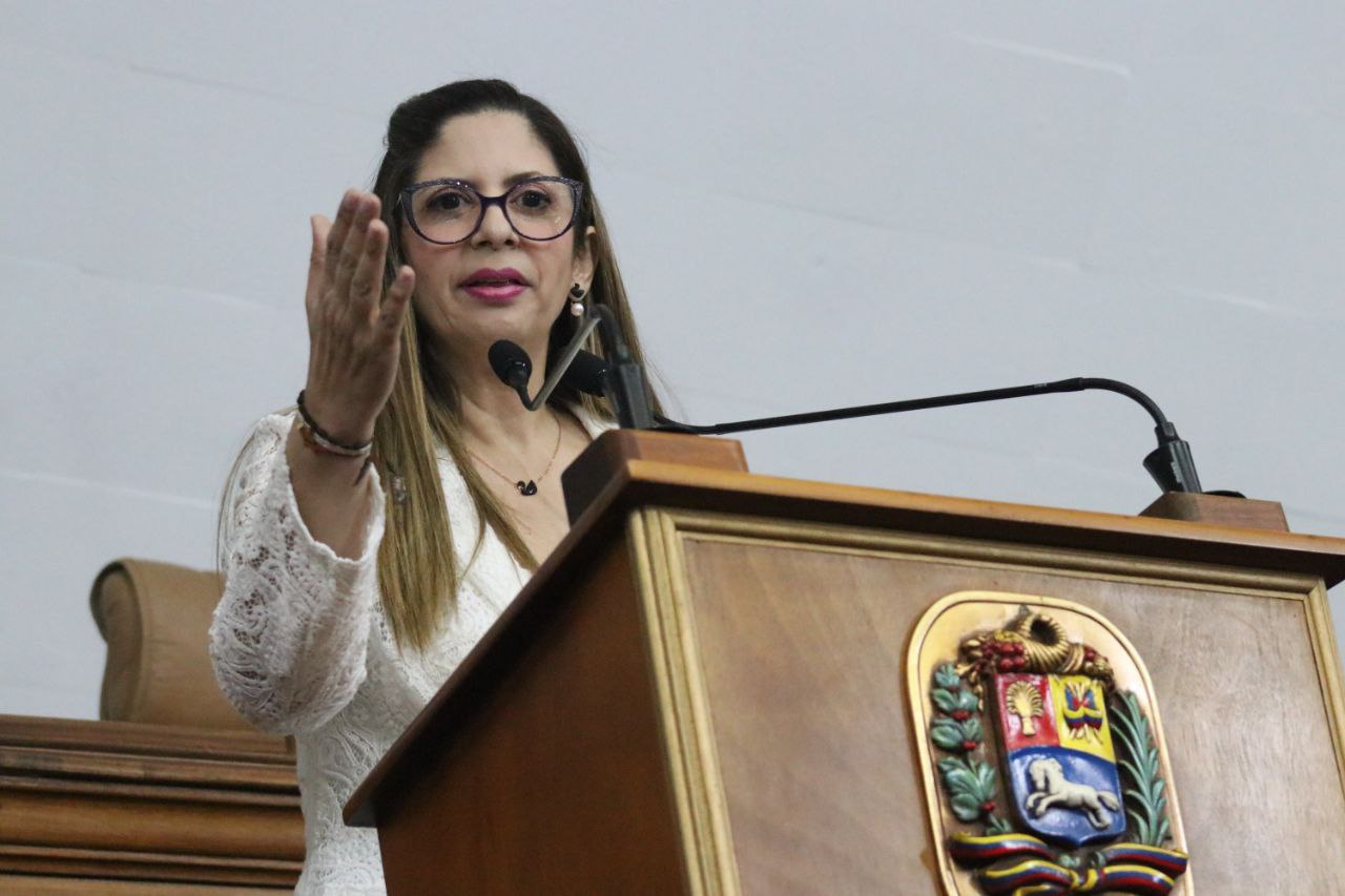 Diputada Nora Bracho