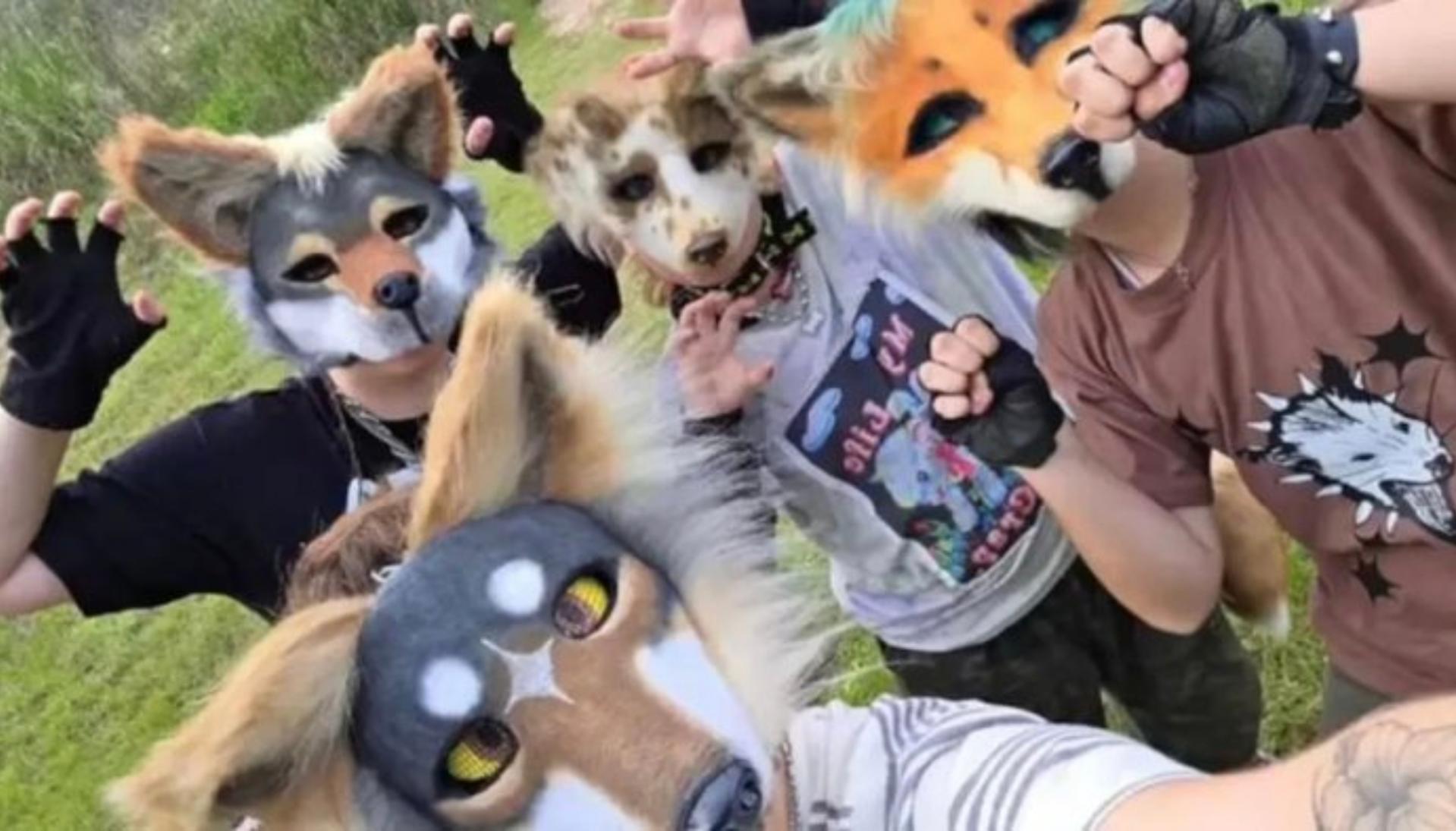 Grupos de personas que se consideran therians