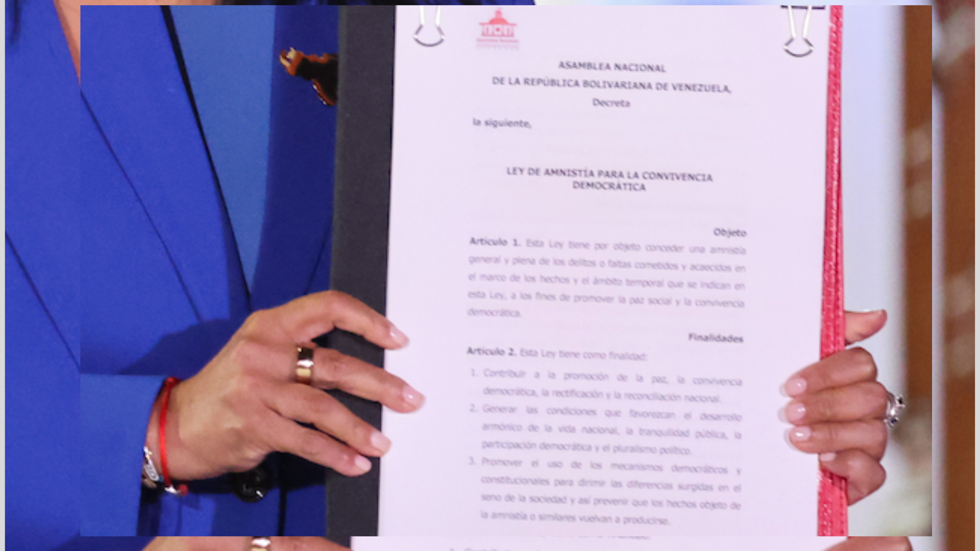 ley de Amnistía detalle