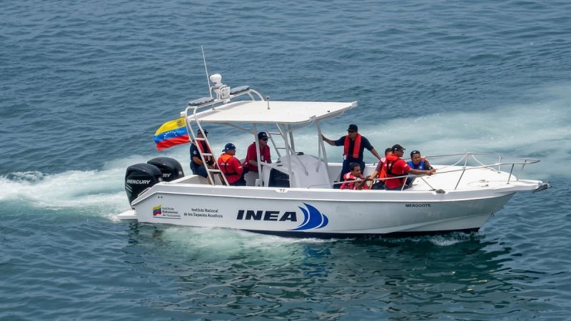 1774991416954333048g