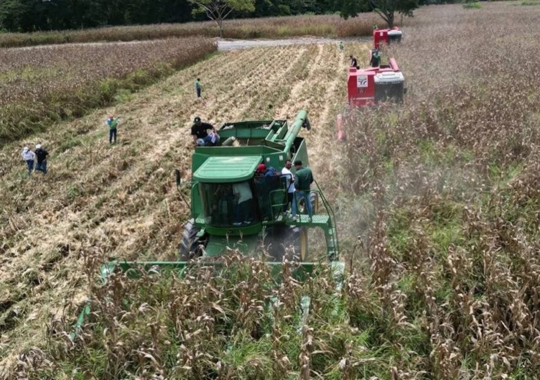 produccion-agricola-venezuela--1280x900