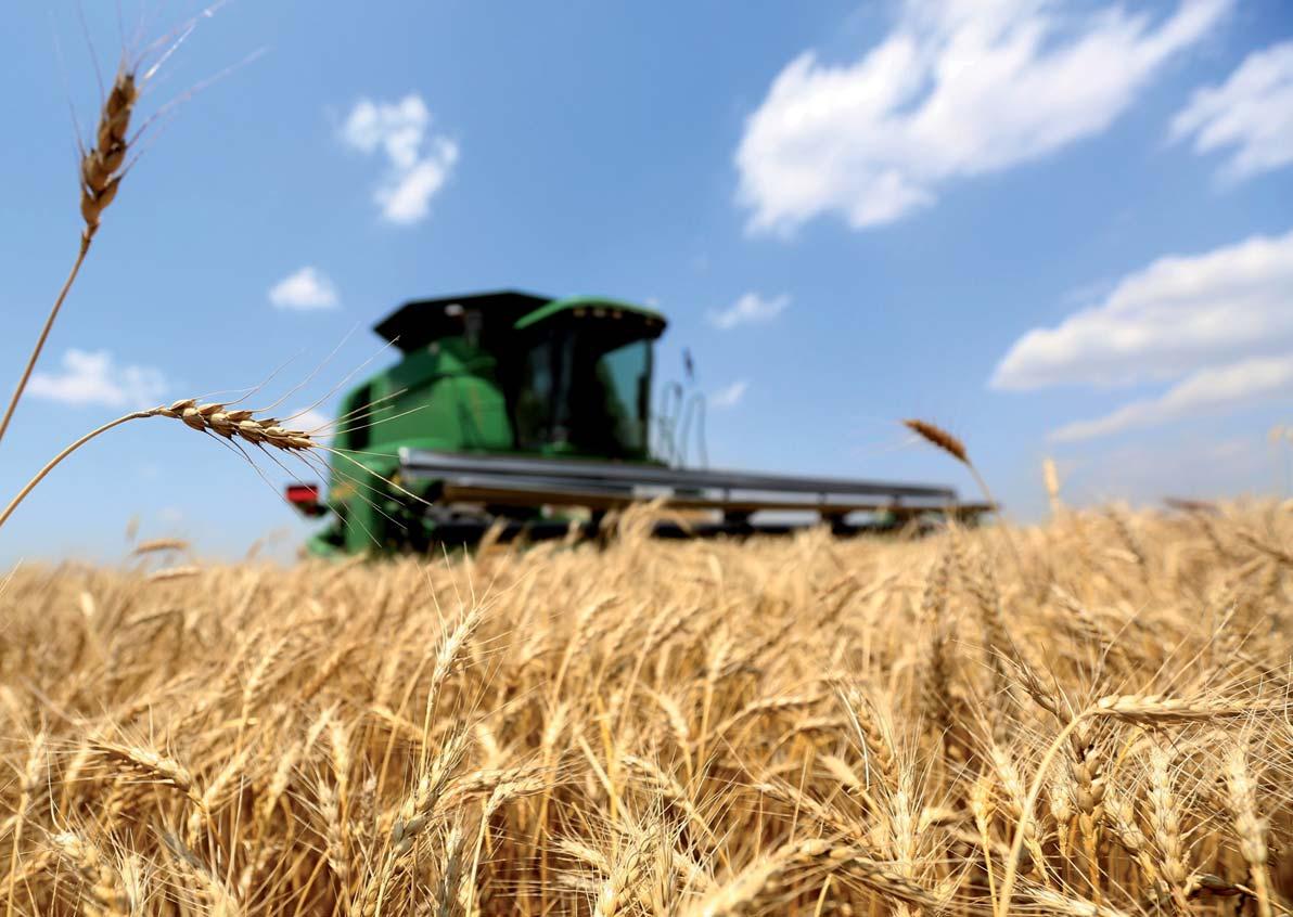 f8ebc8d1064fb6a3e1720d30706770e9