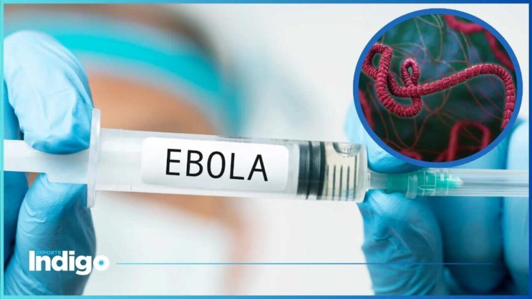 ebola_que_es_y_cxmo_se_contagia.jpg_1909828379-1068x601