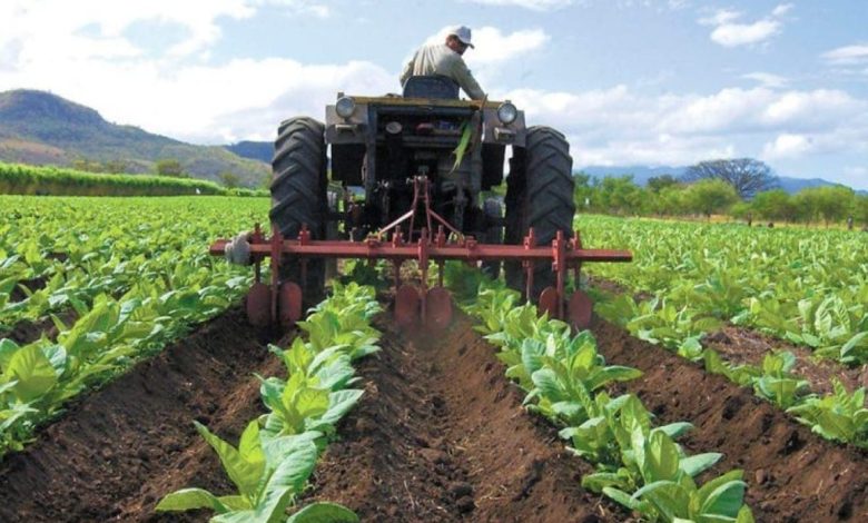Plan-de-invesrsion-para-sector-agroalimentario-780x470