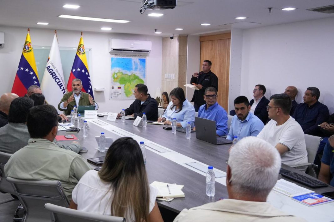 Padrino López producción arroz, favorecer la producción nacional