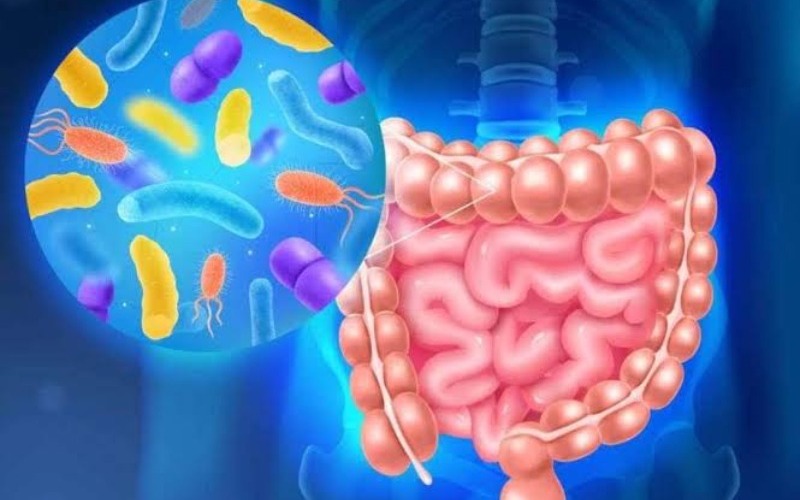 microbioma
