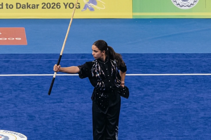 Wushu